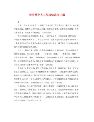 业务员个人工作总结范文三篇 