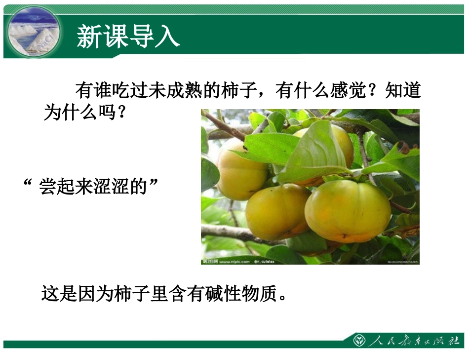 《常见的酸和碱》教学课件（第4课时）_第2页