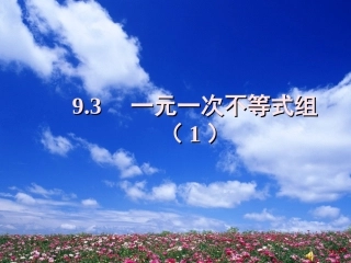 一元一次不等式组 (2)