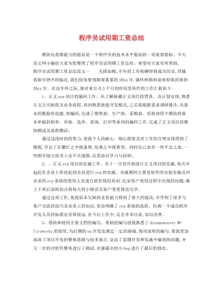 程序员试用期工资总结 