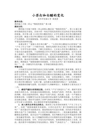 教研课—小苏打和醋的变化