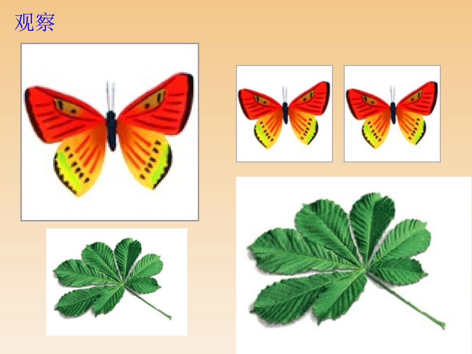 图形的相似 ()_第2页