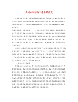 农村水利年终工作总结范文 