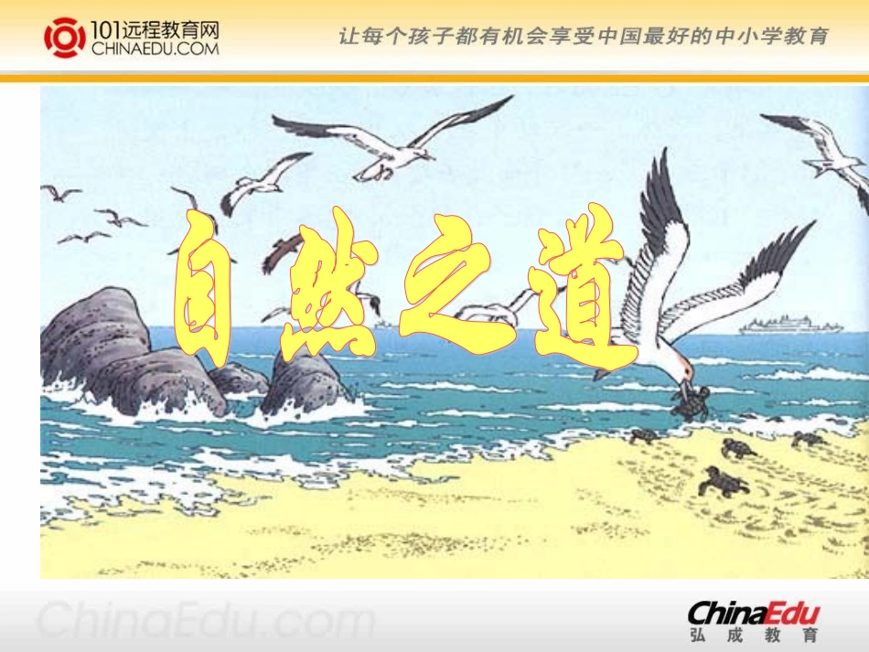 《自然之道》课件_第1页