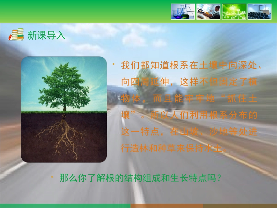 河北少儿版版八上生物第二章根的吸收作用第1节《根的生长》优教课件1（1）（共21张PPT）_第3页