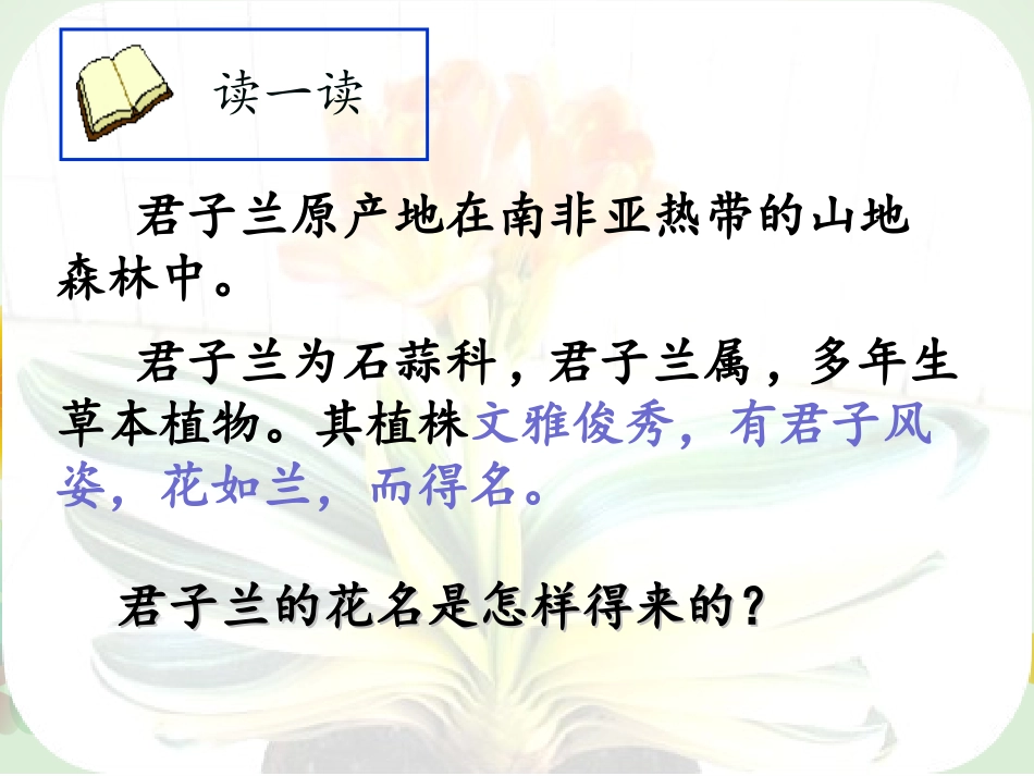 《君子兰赏析及栽培技术》课件_第3页