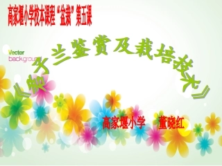 《君子兰赏析及栽培技术》课件