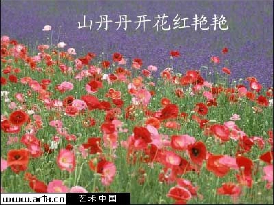 演示文稿1山丹丹_第1页