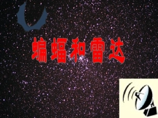 《蝙蝠和雷达》教学课件1