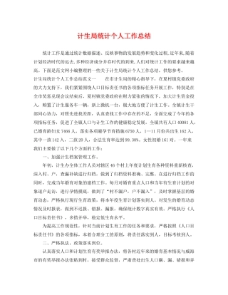 计生局统计个人工作总结 