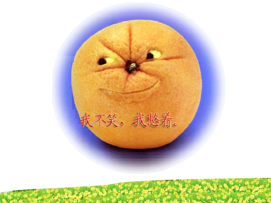 分数的意义(新)_第2页