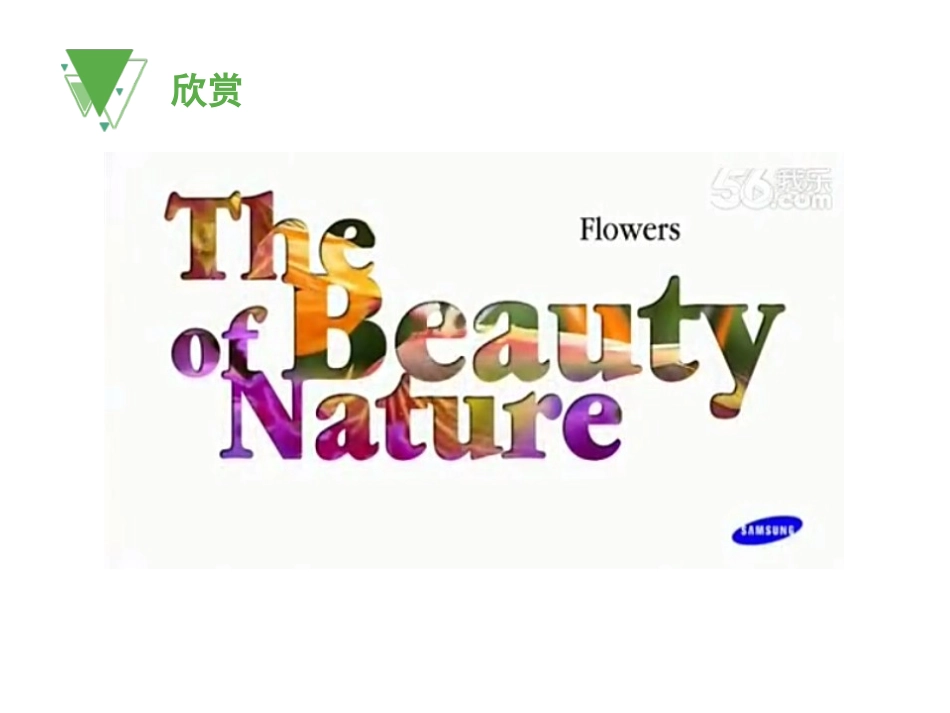 扮靓生活的花卉纹样_第2页