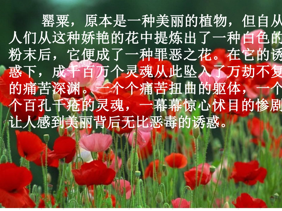 珍爱生命_远离毒品课件_第3页