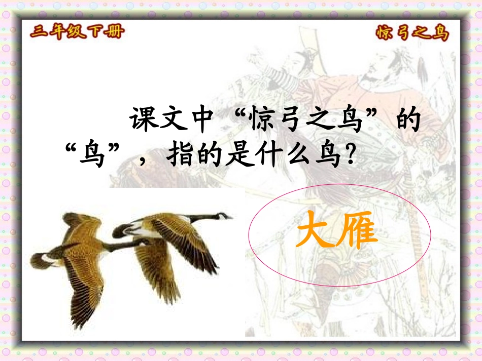 惊弓之鸟课件 (2)_第3页
