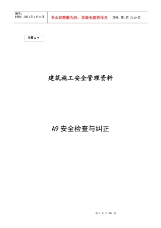 (A9)安全检查与纠正