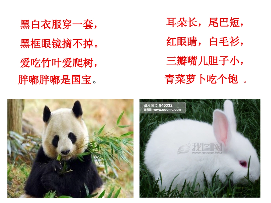 《我最喜欢的动物》白玉琳_第3页
