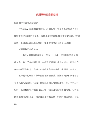 试用期转正自我总结 