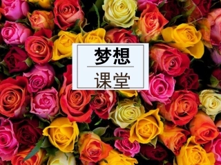 妈妈为什么总说不