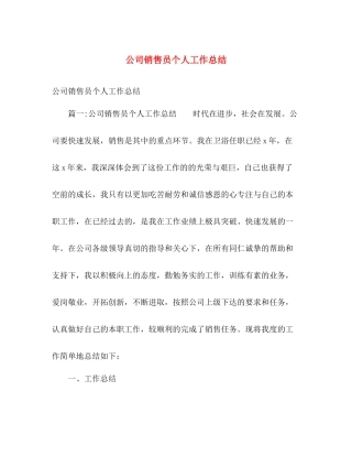 公司销售员个人工作总结 