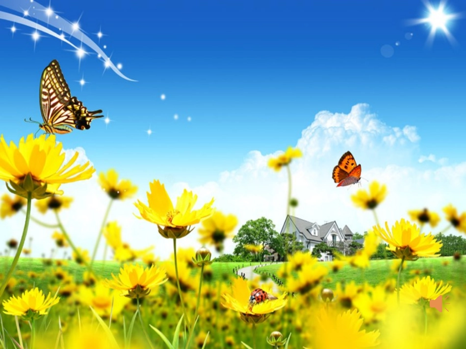 生活中的纹样_第1页