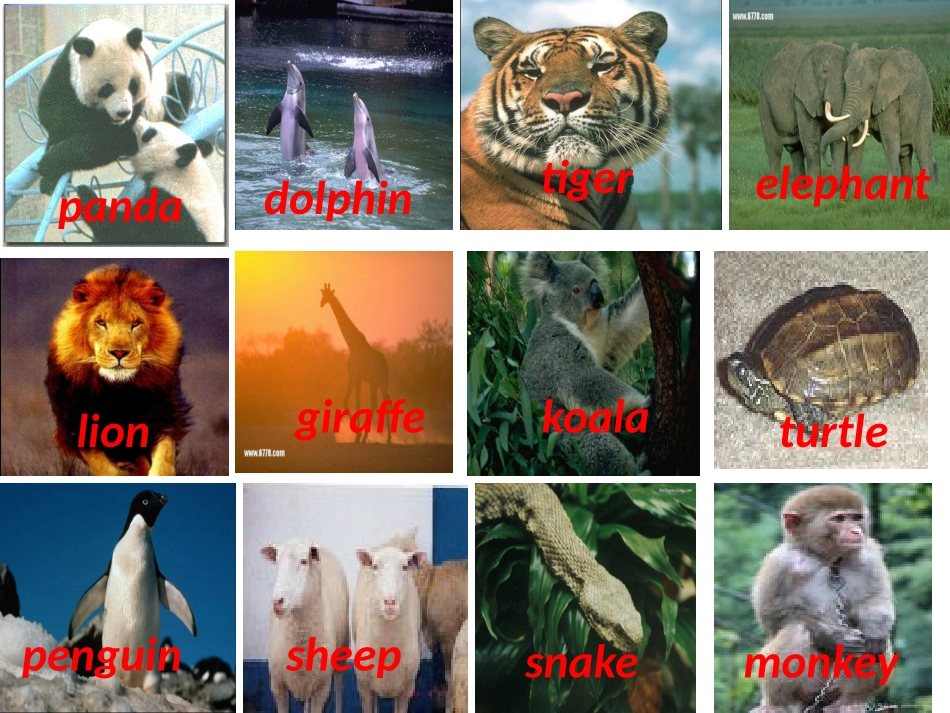 课件（Unit4第一课时）_第2页