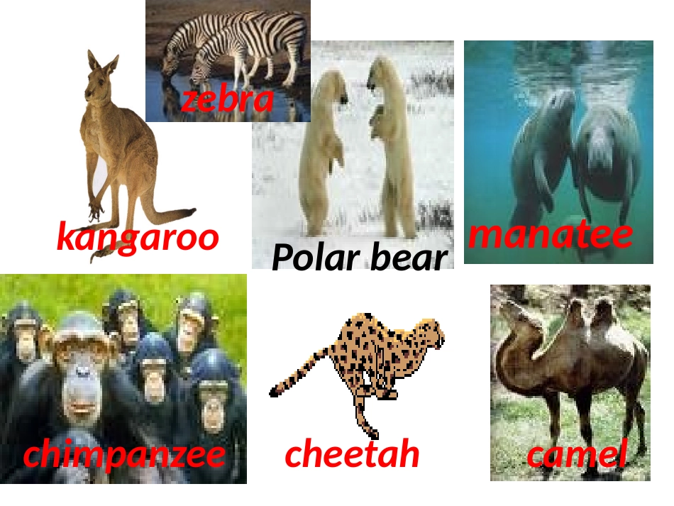 课件（Unit4第一课时）_第3页