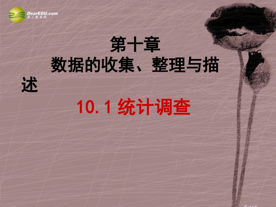 第十章统计调查课件课件（新版）新人教版_第2页
