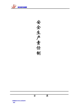 武汉阳光成长科技安全管理资料