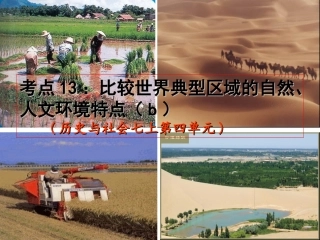 考点13：比较世界典型区域的自然、人文环境特点(b)