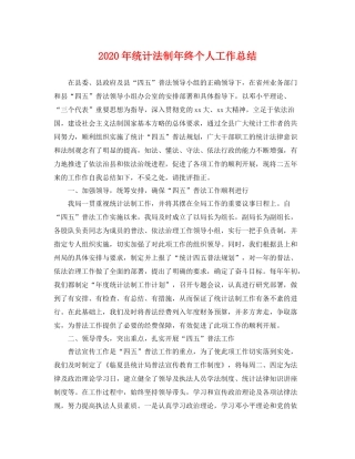 2020年统计法制年终个人工作总结 