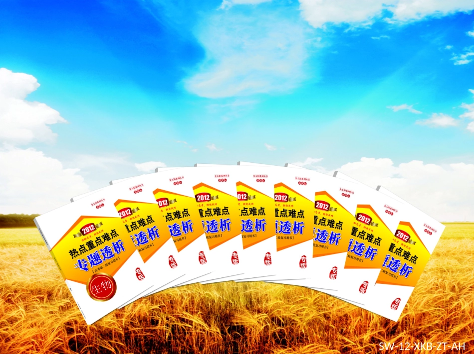 第8专题实验与探究_第1页