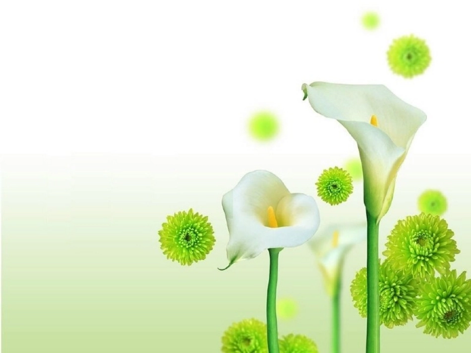 数据的收集与整理1[1][1]_第1页