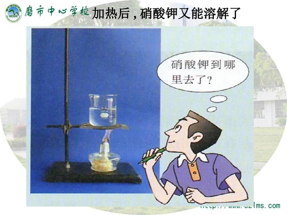 《溶解度》课件_第3页