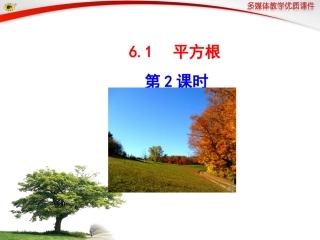 __平方根_第课时