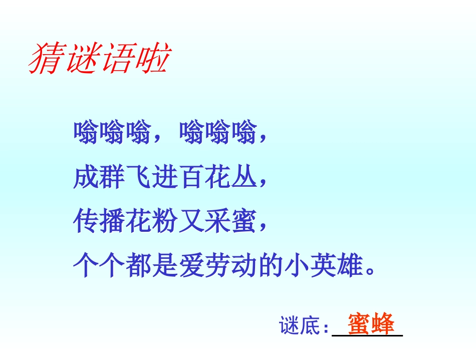 蜜蜂引路PPT_第2页