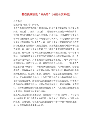 整改提高阶段“回头看”小结[公安系统] 
