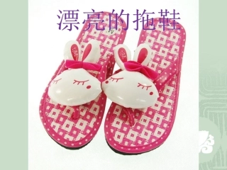 第二课漂亮的拖鞋