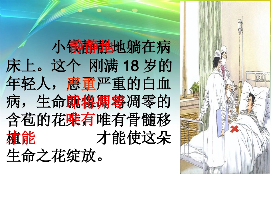 小学语文课件-跨越海峡的生命桥_第3页