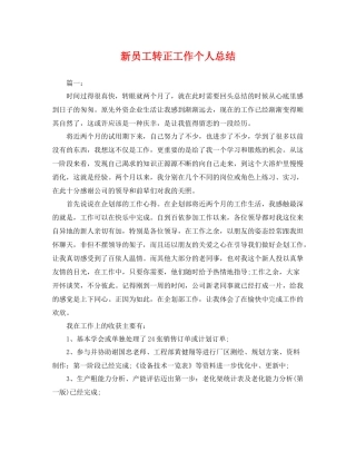 新员工转正工作个人总结 