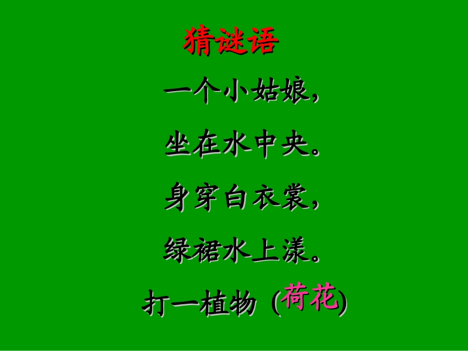 《荷花》PPT之一课件(人教版三年级语文下册课件)~9B599_第1页