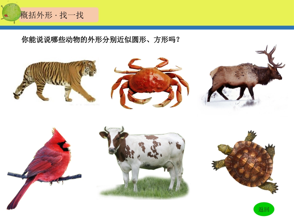 新湘版美术三年级上册《方方圆圆》_第3页