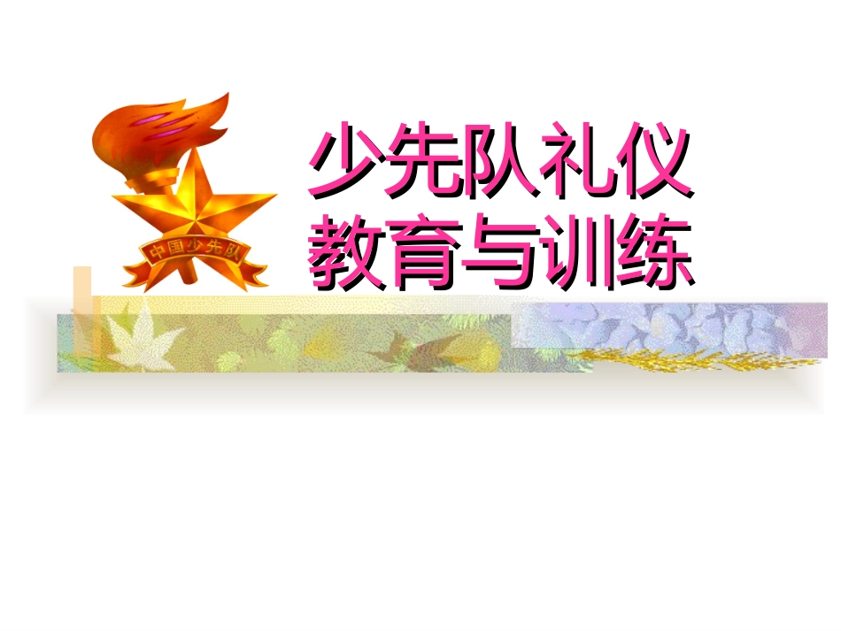 规范少先队礼仪(中队辅导员培训)-(1)_第1页