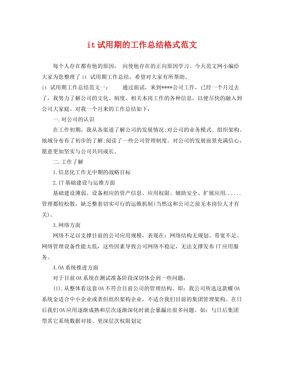 it试用期的工作总结格式范文 _第1页
