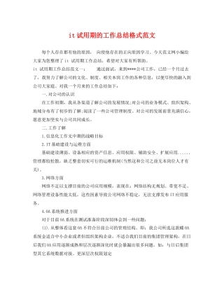 it试用期的工作总结格式范文 
