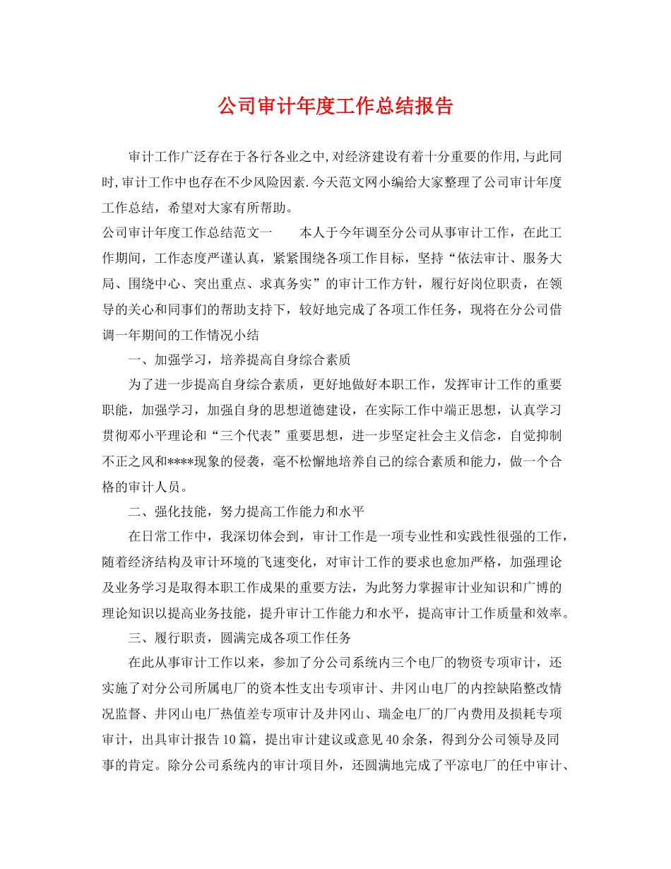 公司审计年度工作总结报告 _第1页