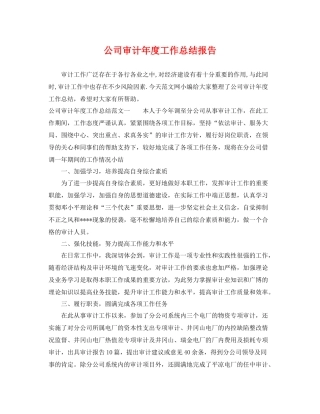 公司审计年度工作总结报告 