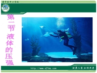 液体的压强课件
