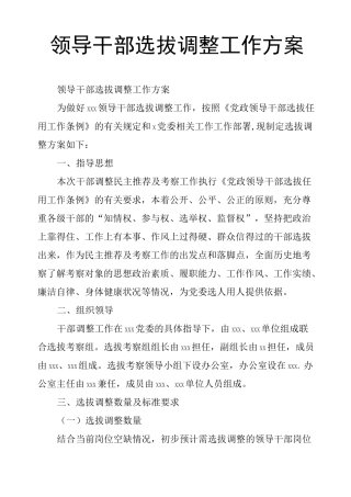 领导干部选拔调整工作方案