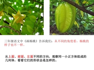 人教版小学数学四年级下册观察物体(二)教学课件