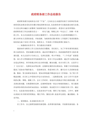 政府财务部工作总结报告 